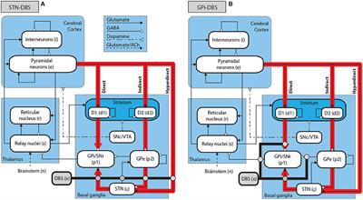 Suppression of Parkinsonian Beta Oscillations by Deep Brain Stimulation: Determination of Effective Protocols